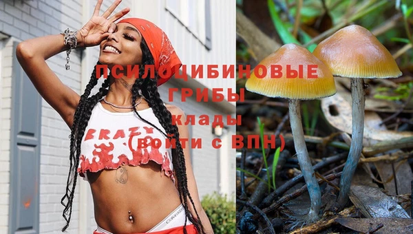 дмт Магас