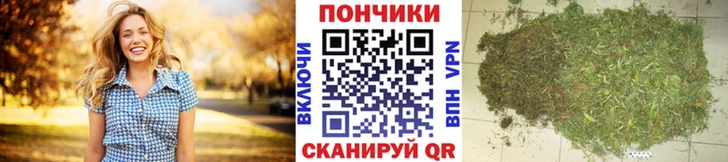 Купить закладки  Плавск  Канабис тримм 